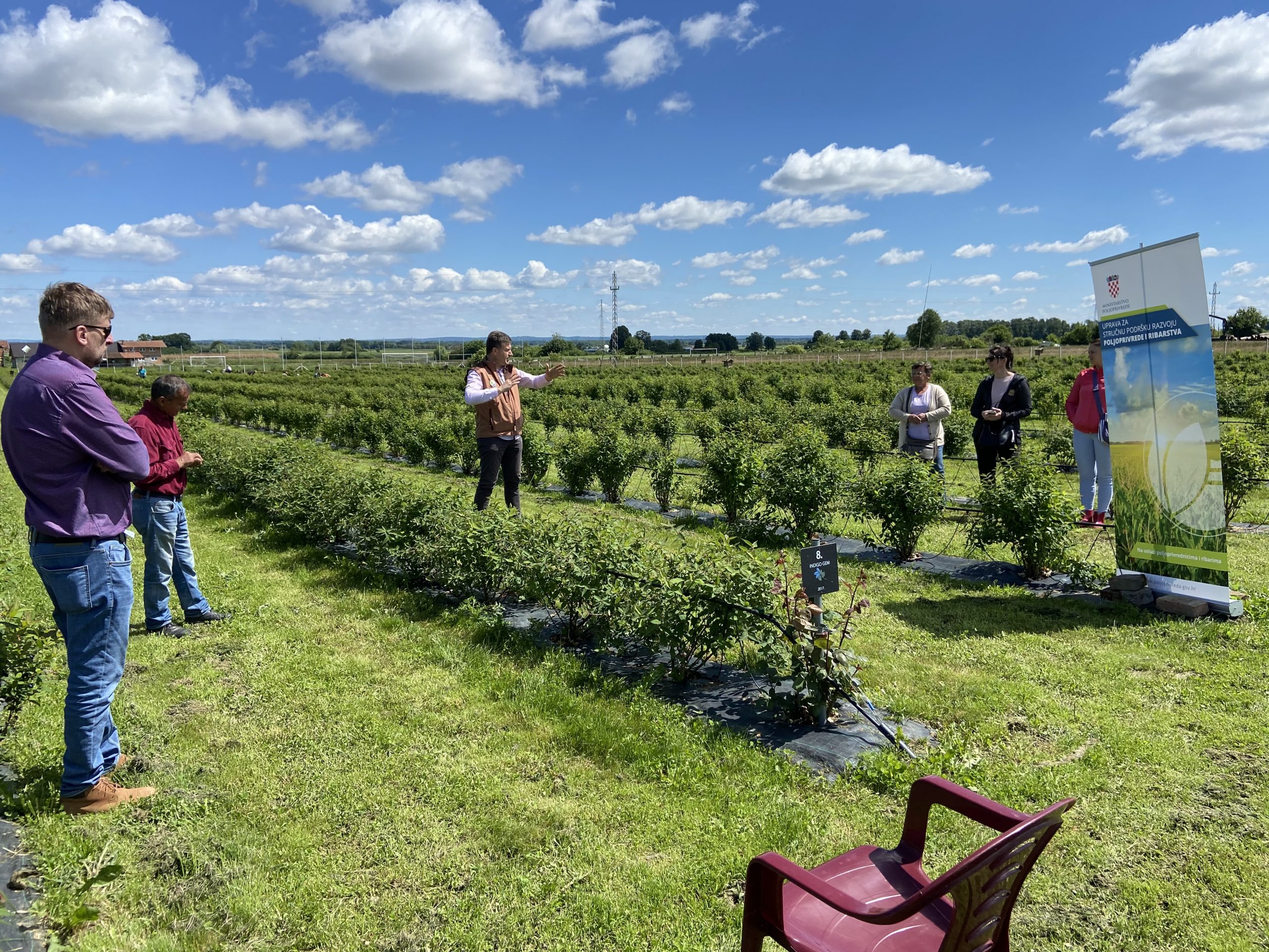 OPG Juranić - Haskap