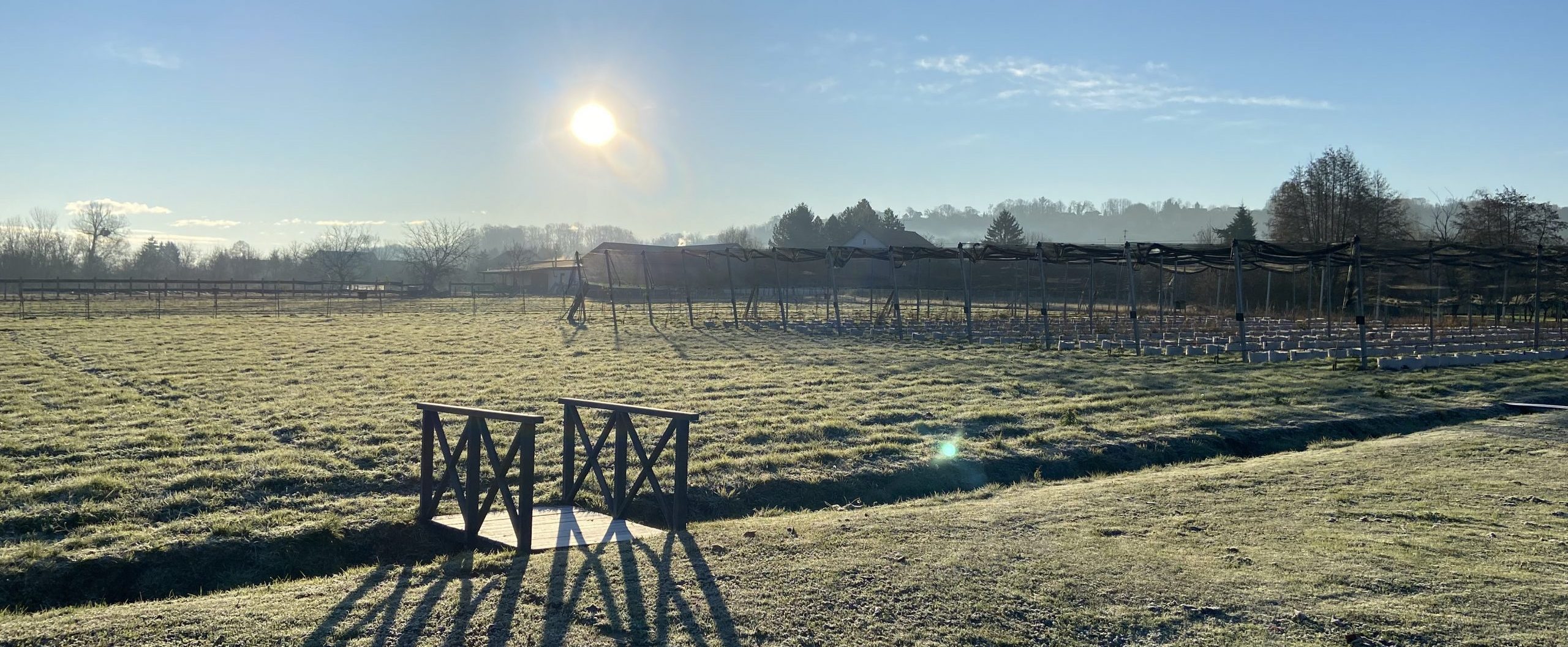 OPG Juranić - Haskap