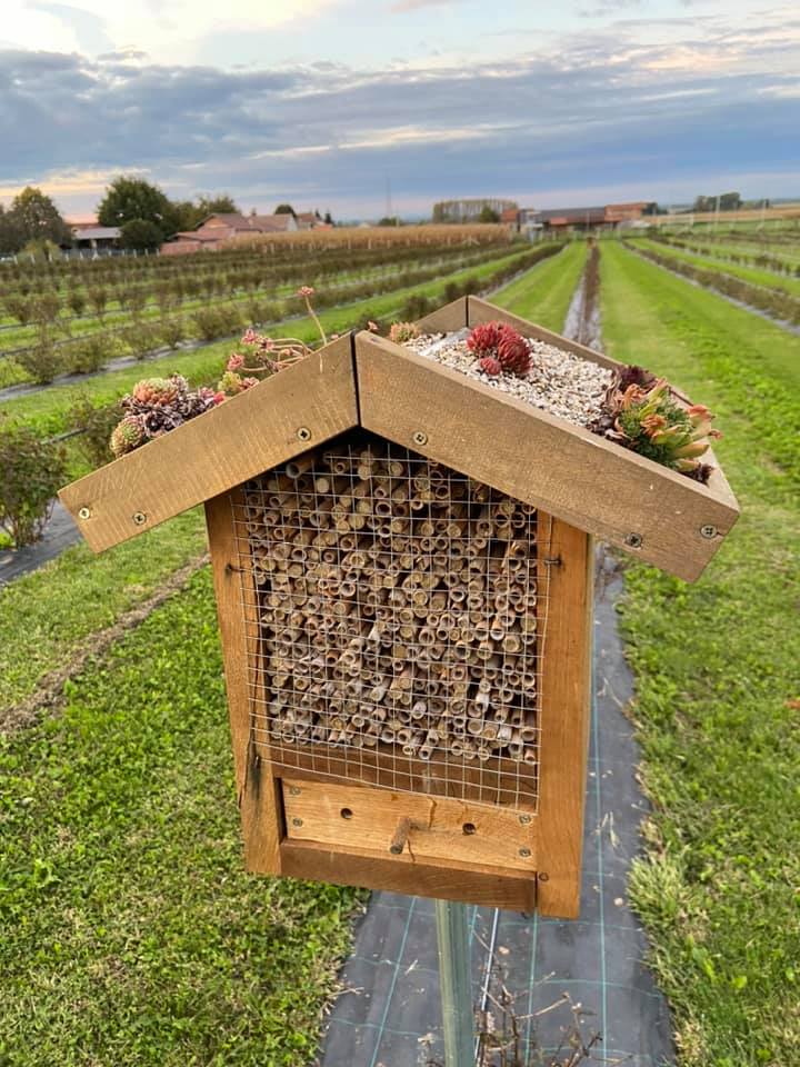 OPG Juranić - Kućica za pčele