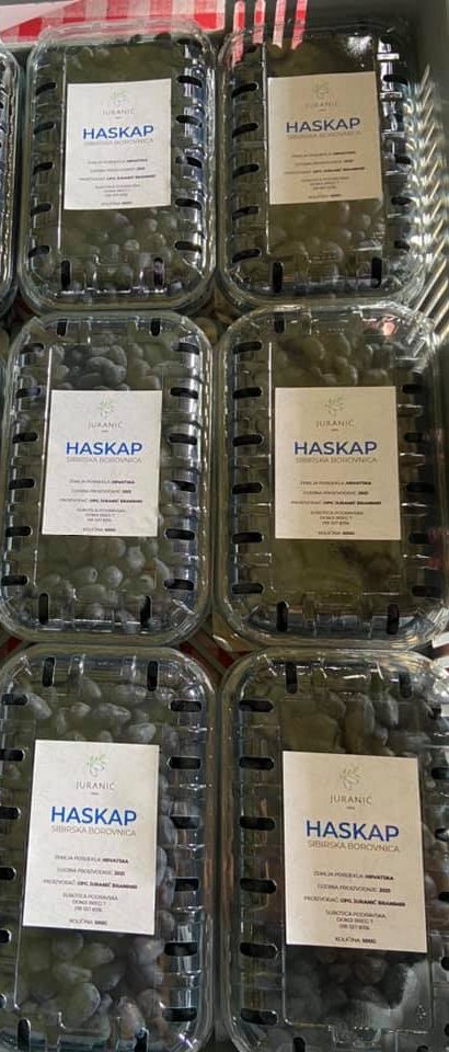 Haskap / Sibirska Borovnica - OPG Juranić