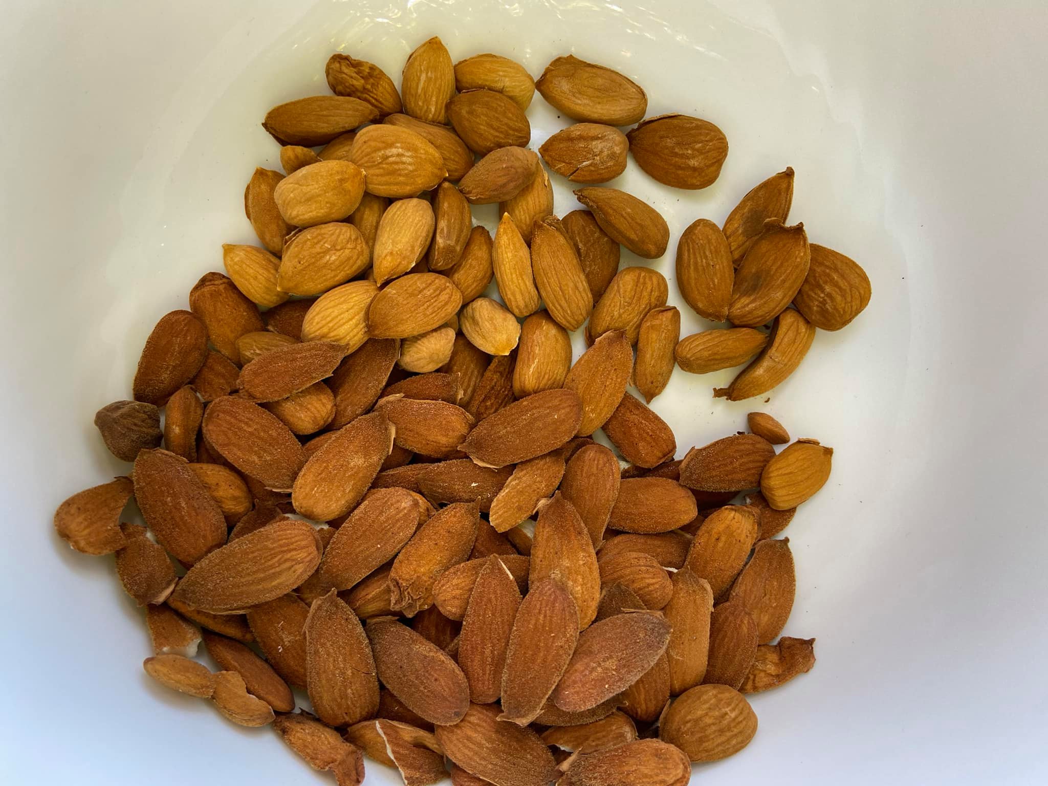 OPG Juranić – Bademi OPG Juranić - Bademi