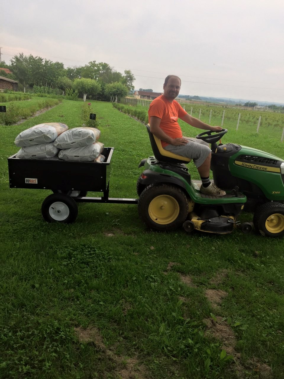 Haskap / Sibirska Borovnica - OPG Juranić